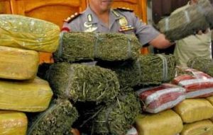 penggerebakan narkoba 1