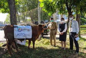 Aston Inn Gresik Sapi