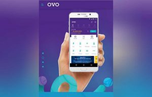 ovo