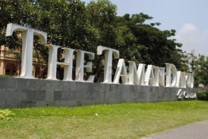 The Taman Dayu