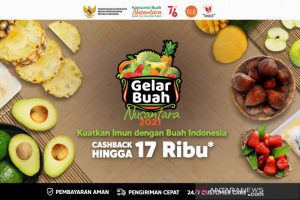 gelar buah
