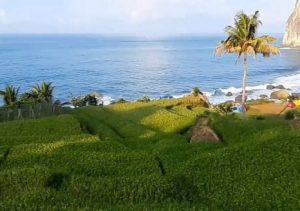 Pacitan pantai