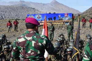 AAL Bromo