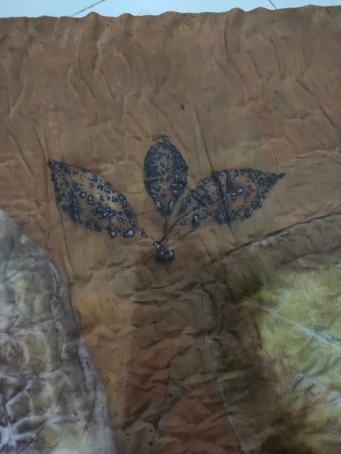 jejak daun cengkeh sabda