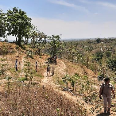 BSI Serahkan Lahan Kompensasi seluas 215,66 Hektare di Bondowoso ke Pemerintah 20 lahan bsi