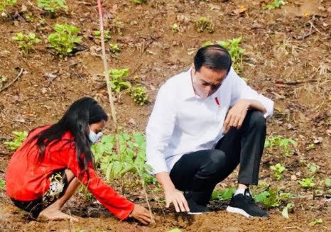 Presiden Jokowi Tanam Pohon di Kawasan Hutan Gunung Pepe NTB 20