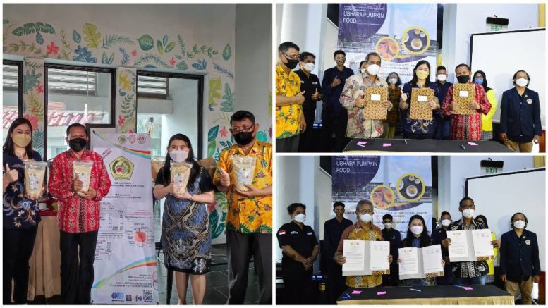 Ubhara Bareng UKWMS & UWP Kembangkan Tepung Labu Kuning 20 Labu kuning