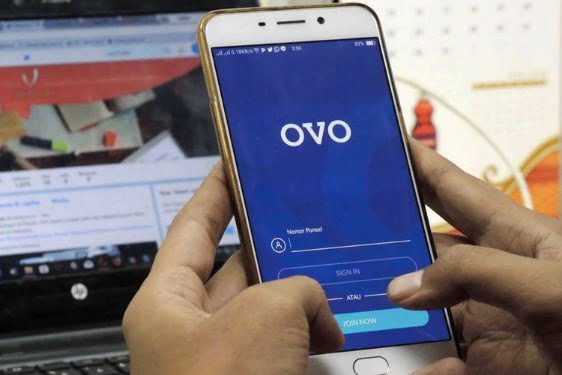 Ovo fintech