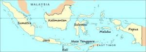 IMG 20220112 WA0001