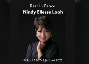 Nindy Ellesse
