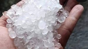 Screenshot 2022 02 22 06 31 04 26 1c337646f29875672b5a61192b9010f9 compress92 800x445 1