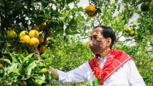 jokowi kampung jeruk