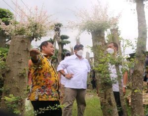 BI Tanaman Hias Gresik