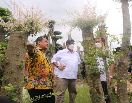 Bank Indonesia Mendukung Pengembangan Potensi Usaha Tanaman Hias di Gresik 20 BI Tanaman Hias Gresik
