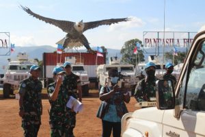 IMG 20220416 WA0043 copy 512x341