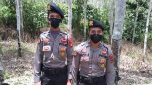 IMG 20220402 062205 800x445 1