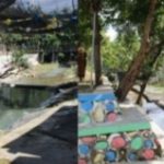 Keunikan Wisata Kalipanas Hot Springs Tuban untuk Terapi