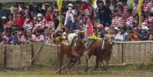 IMG 20220528 054534