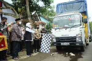 ekspor kopi wonosalam