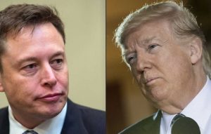 musk trump