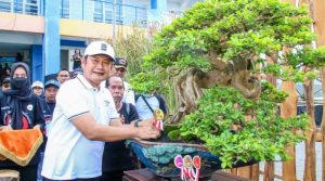 festival bonsai lamongan