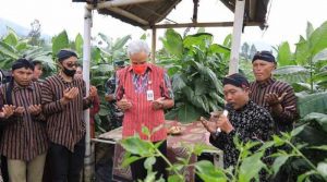 IMG 20220810 121833 compress78 800x445 1