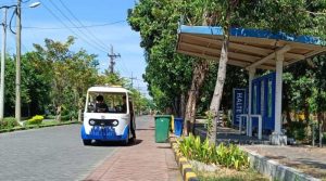 IMG 20220813 053342 compress45 800x445 1