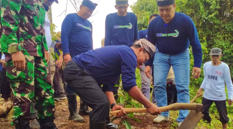 BRI Menanam Bagi Ratusan Bibit Buah di Banyuwangi 20 BRI menanam