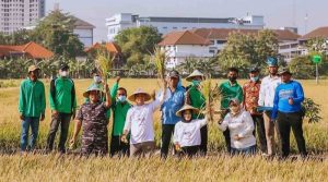 IMG 20220921 065009 compress98 800x445 1