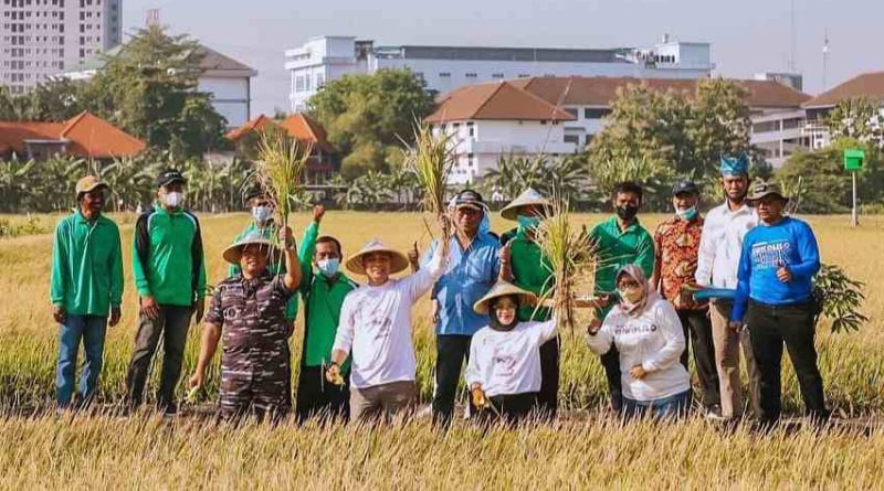 IMG 20220921 065009 compress98 800x445 1