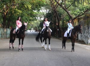 IMG 4787 copy 2274x1680 copy 909x672