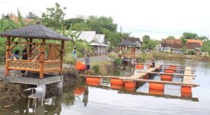 unibraw desa ikan koi