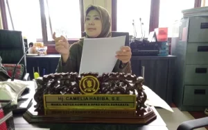 habiba pkb