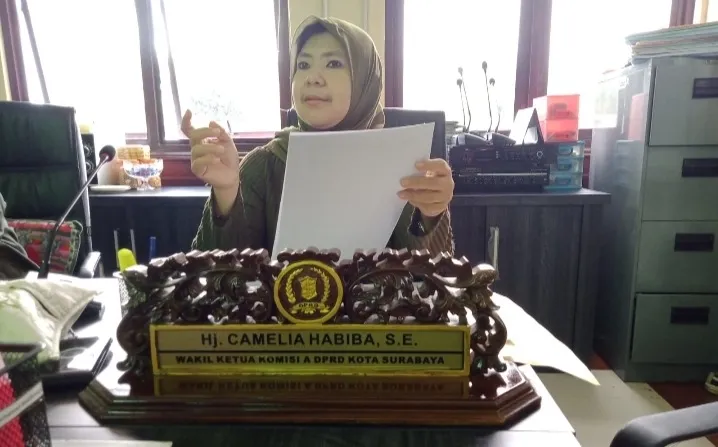 Terkait Pemilihan RT dan RW, Legislator Camelia Habiba Minta Lurah dan Camat tegas cabut RT atau RW Terpilih Aktif di Parpol 20 habiba pkb