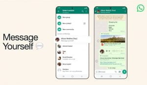 84 whatsapp