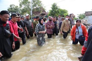 mensos tinjau banjir