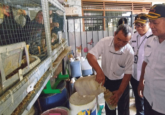 Kampung Ayam tanpa Bau di Kelurahan Karah Surabaya 20 kandang ayam