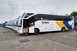 bus damri