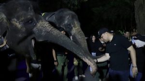 IMG 20230522 073030 800x445 1