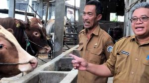 c1 20230530 10444062 1080x600 1