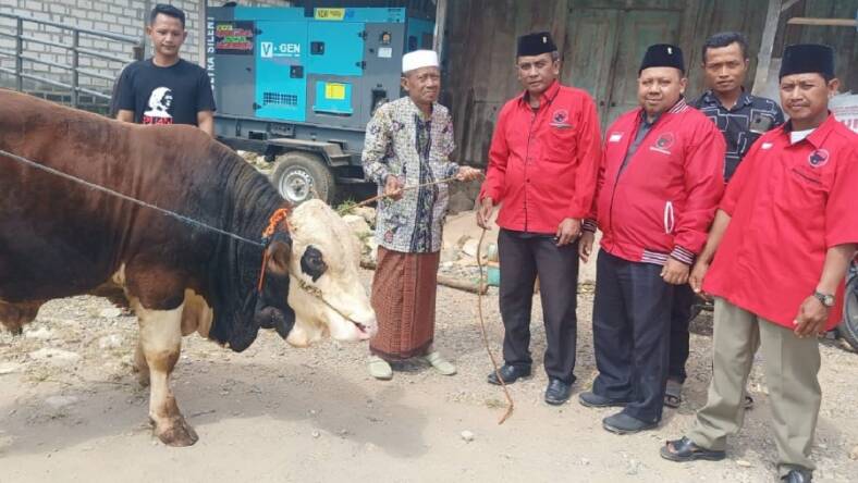 DPD PDI Perjuangan Jatim Salurkan Sapi Kurban Ke Sejumlah Kabupaten/Kota 20 IMG 20230629