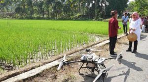 semprot pupuk pakai drone