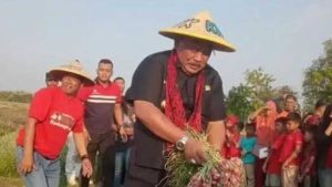 bupati marhaen panen raya