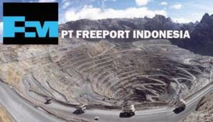 freeport indonesia
