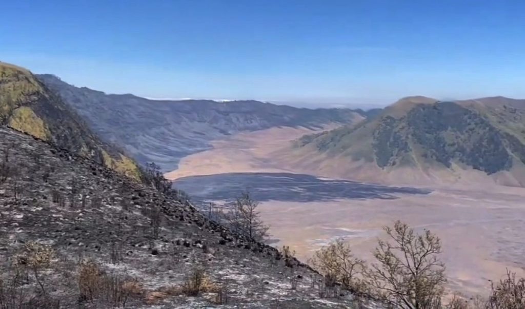 kebakaran hutan bromo
