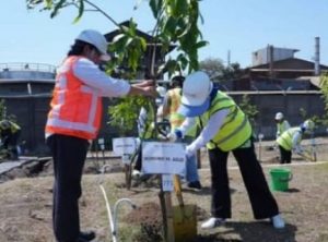 whatsapp image 2023 09 17 at 09.16.50 copy 467x345