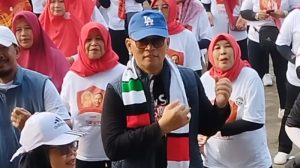 relawan Siber