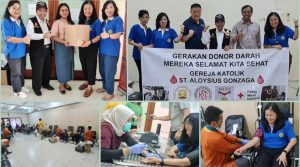 c1 20240610 14152664 800x445 1