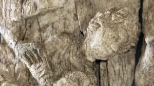 para arkeolog telah menemukan peninggalan keagamaan penting yang dihiasi motif kristen yang bersembunyi di dalam kuil marmer s 1 169