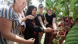 Festival Kopi Kalibaru